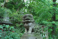 狛犬_赤坂氷川神社