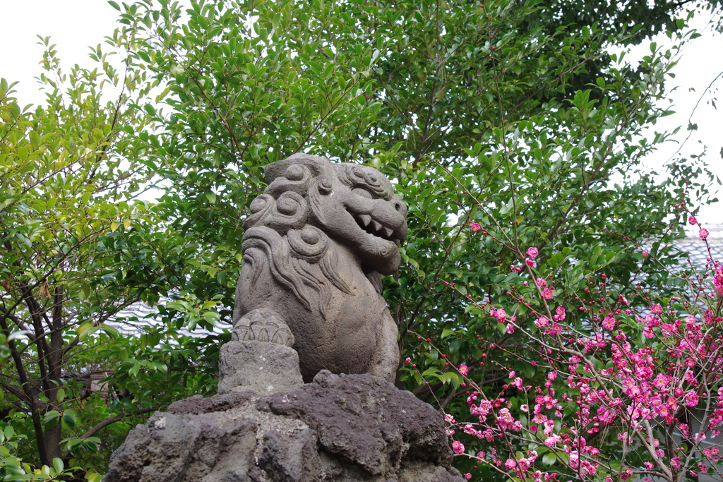 狛犬_中井御霊神社