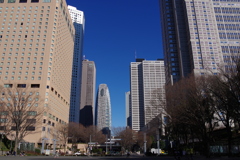 西新宿超高層ビル街