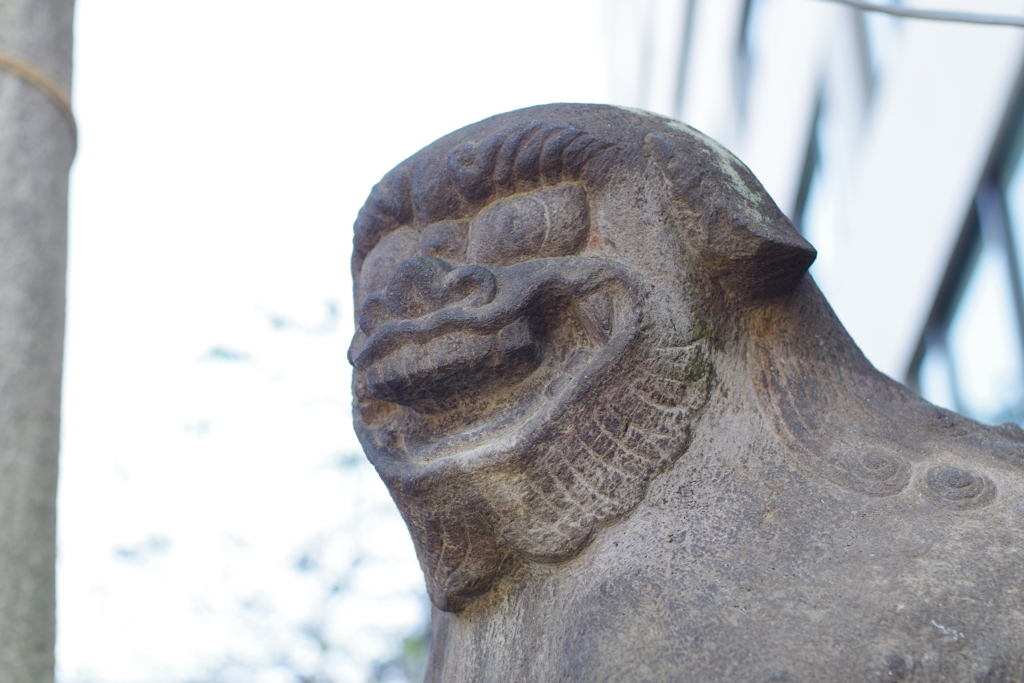 狛犬_花園神社
