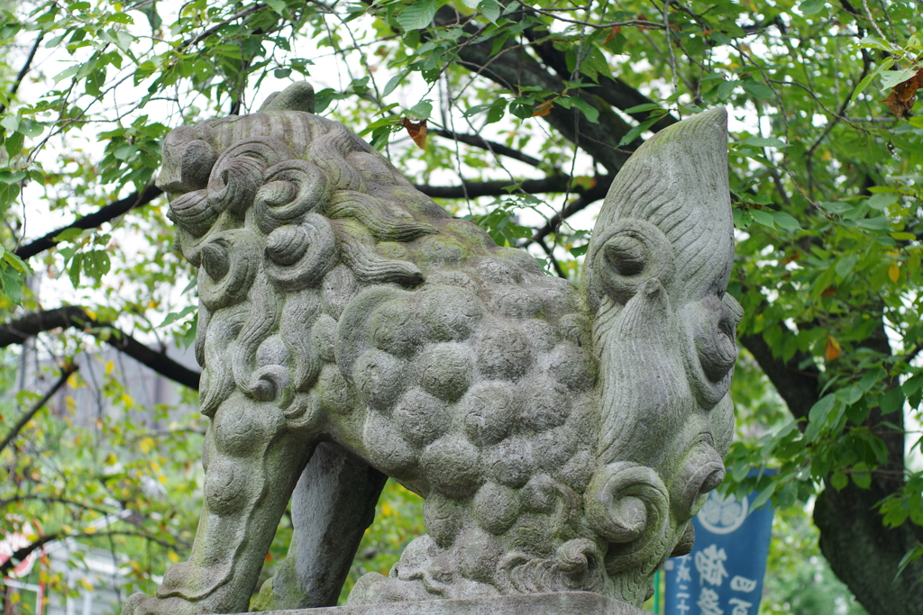狛犬_芝東照宮