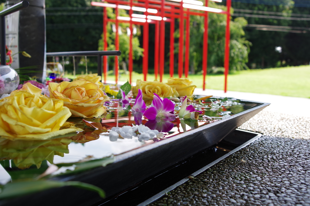 花手水_武蔵野坐令和神社
