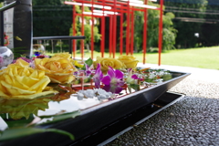 花手水_武蔵野坐令和神社