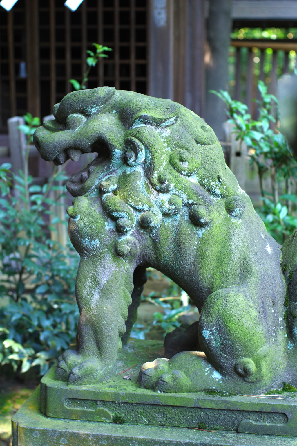 狛犬_和泉熊野神社