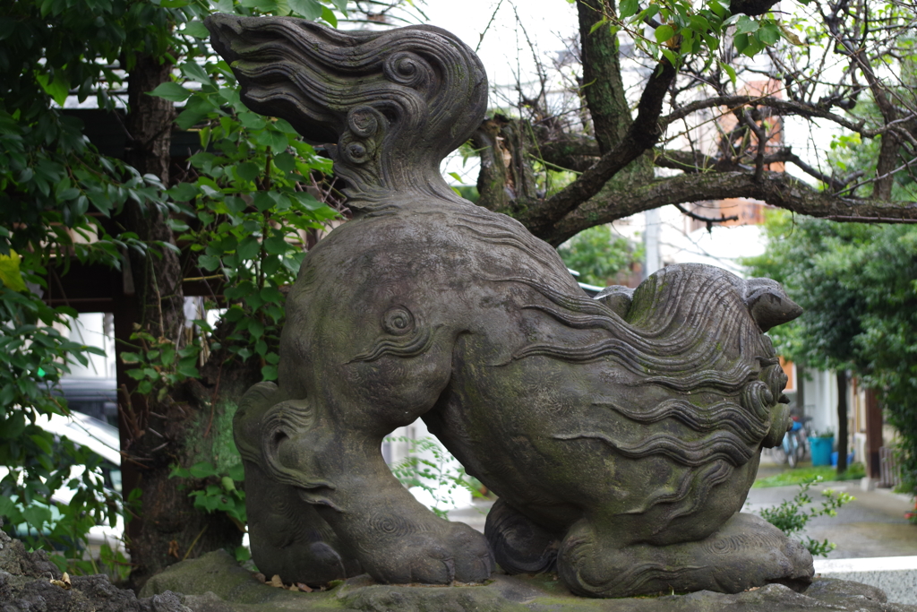 狛犬_下落合氷川神社