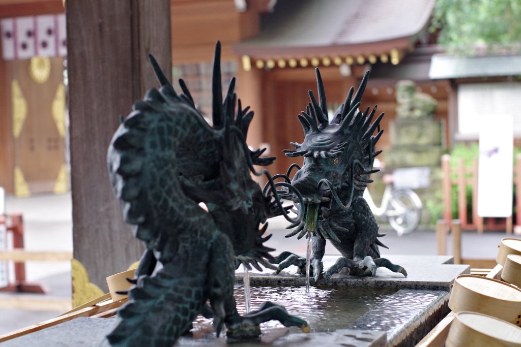 手水舎_龍_大國魂神社