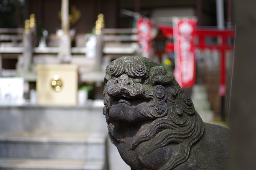 狛犬_気象神社_高円寺氷川神社