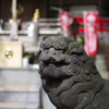 狛犬_気象神社_高円寺氷川神社