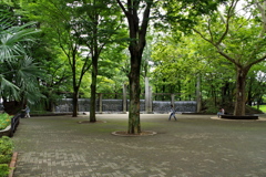 ギターを弾く若者_蚕糸の森公園