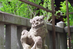 狛犬_鉄砲洲稲荷神社