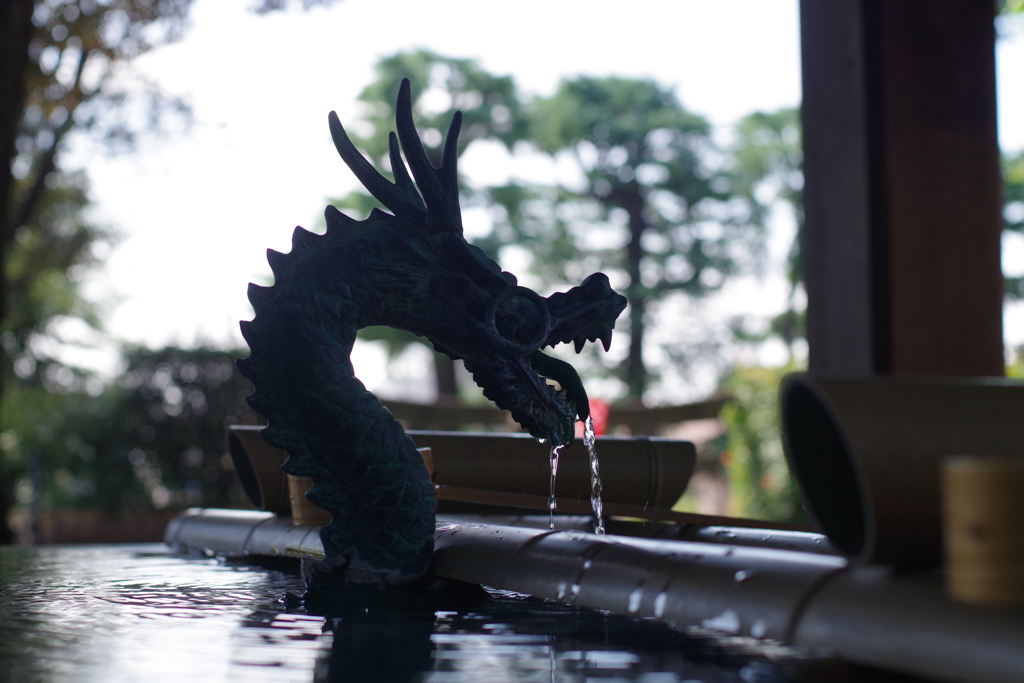 手水舎_龍_沼袋氷川神社
