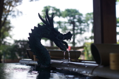 手水舎_龍_沼袋氷川神社