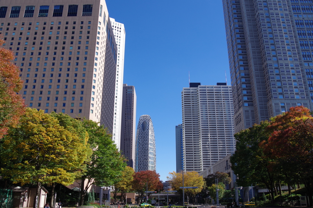 西新宿超高層ビル群