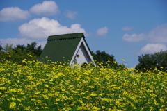 レモンブライト_昭和記念公園