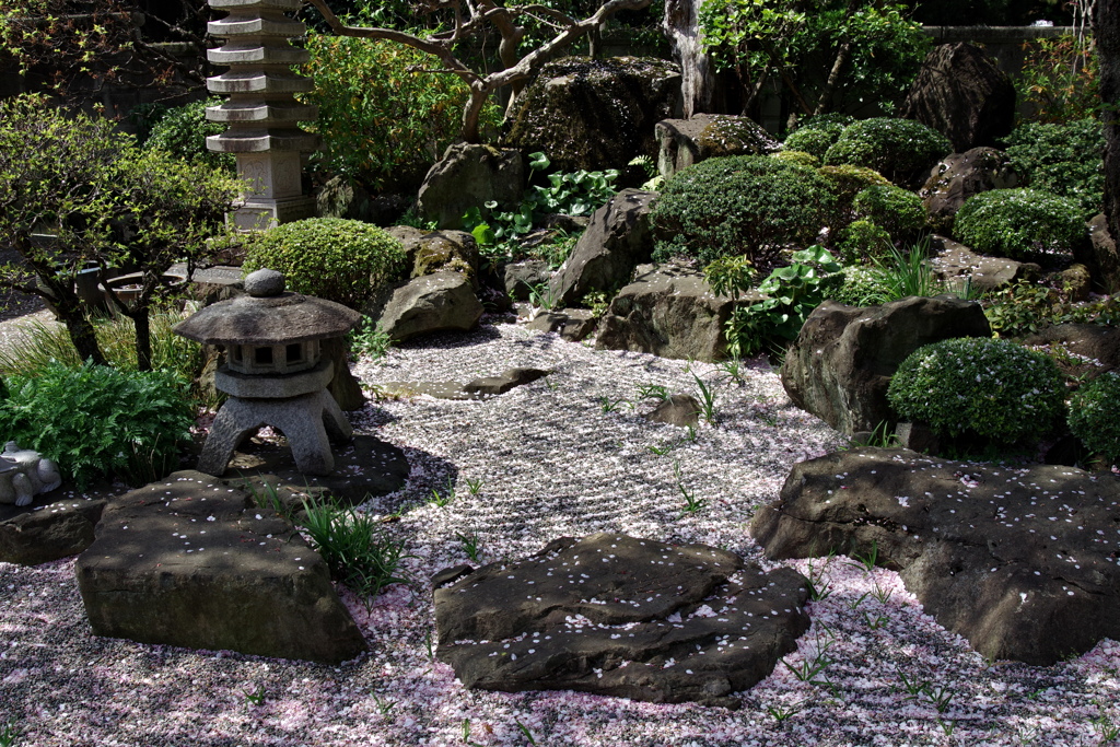 枯山水_松応寺