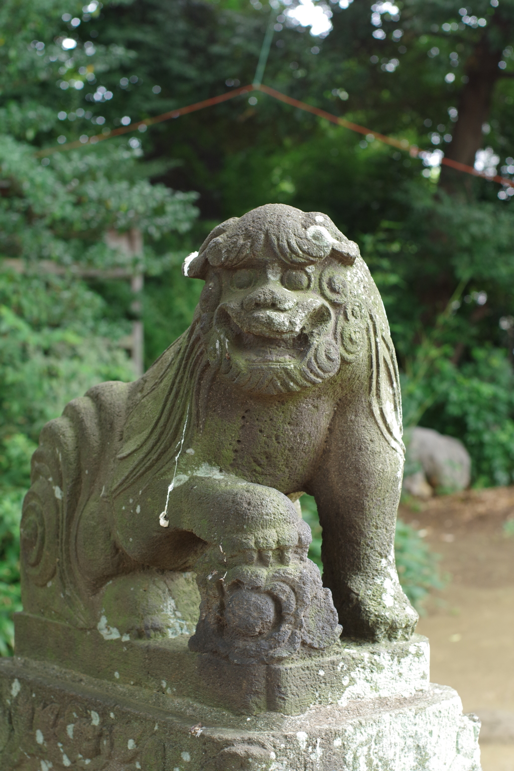 狛犬_江古田氷川神社