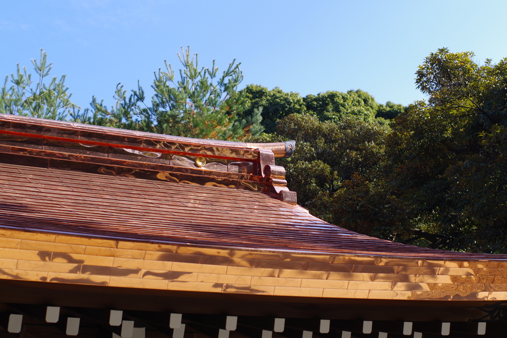 屋根の葺き替え_明治神宮