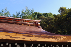 屋根の葺き替え_明治神宮