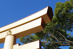 鳥居_明治神宮