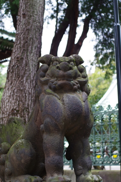 狛犬_堀之内妙法寺