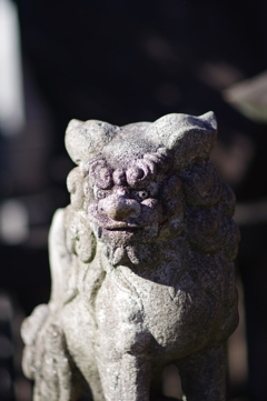 狛犬_神田明神