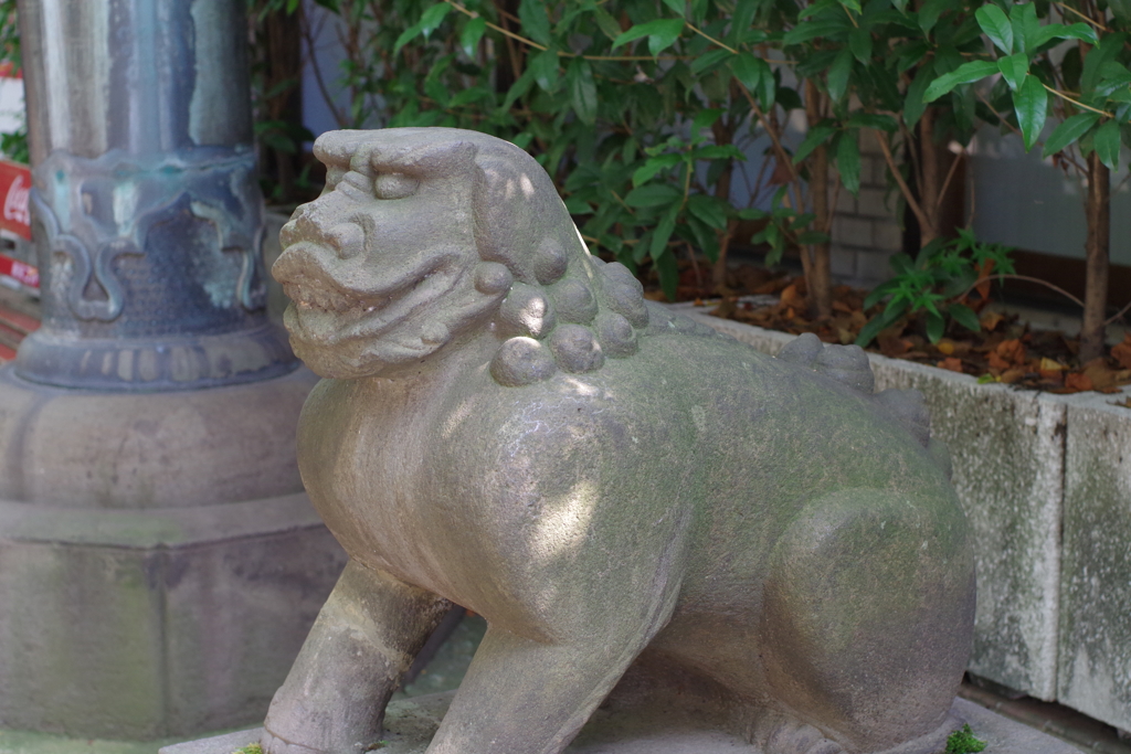 狛犬_亀岡八幡宮