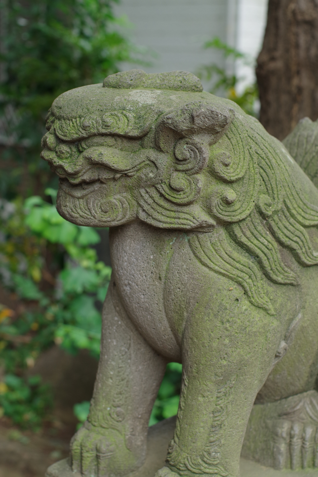 狛犬_大和町八幡神社