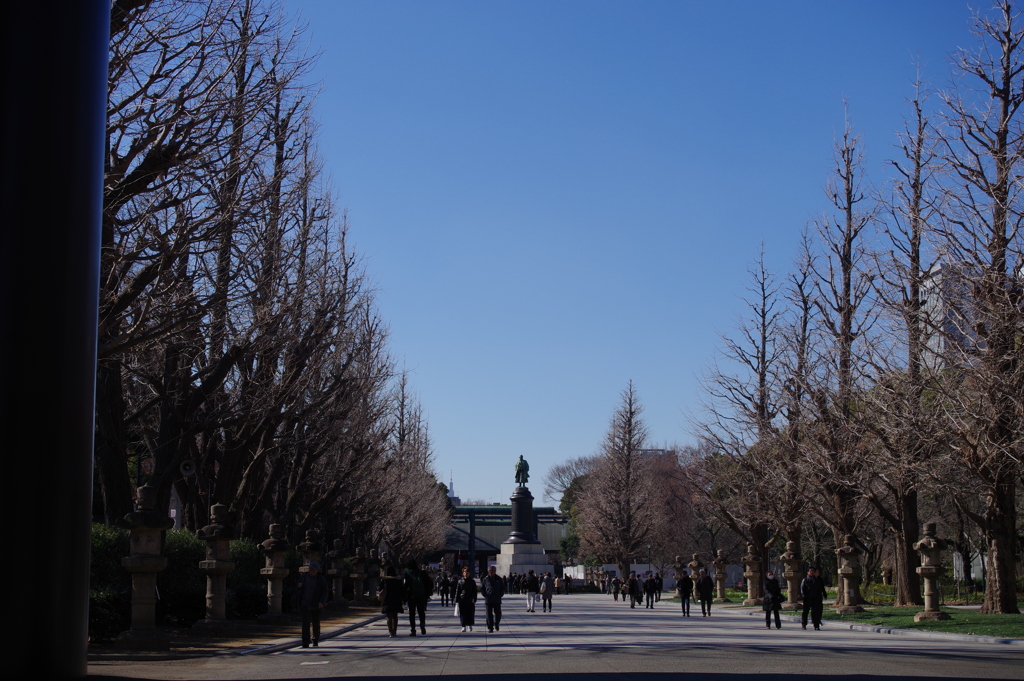 参道_靖国神社