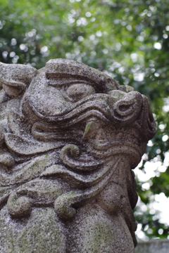 狛犬_渋谷氷川神社