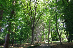 神代植物公園