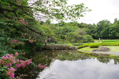 二ノ丸庭園_皇居東御苑