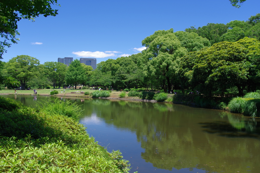 北の丸公園