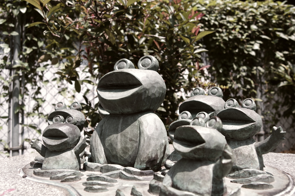 カエルの親子_桃園川緑道