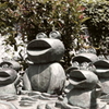 カエルの親子_桃園川緑道