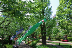アートこいのぼり_東京ミッドタウン