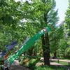 アートこいのぼり_東京ミッドタウン