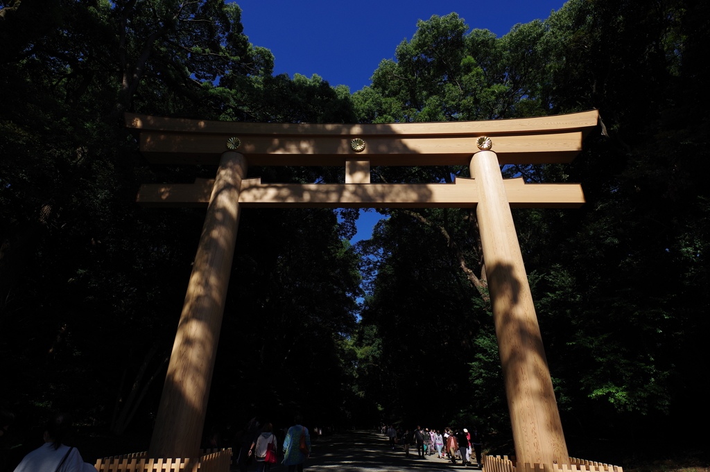 鳥居_明治神宮