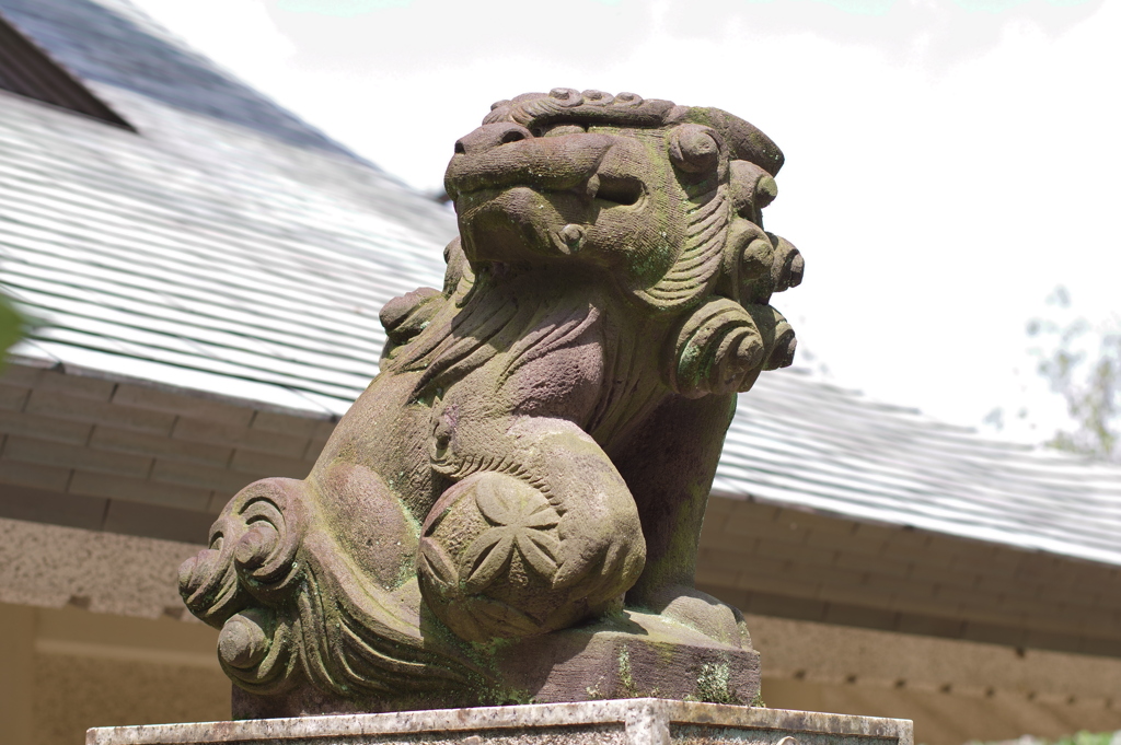 狛犬_五條天神社