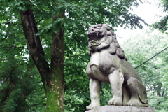 狛犬_大國魂神社