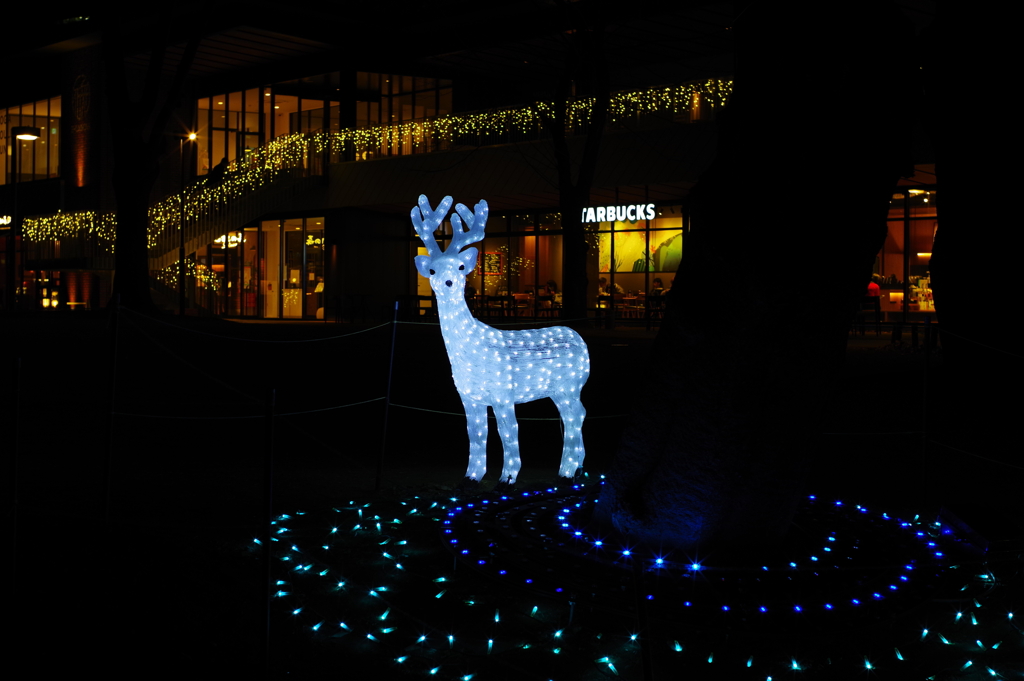 星の牡鹿_新宿中央公園