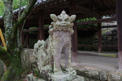 狛犬_吉備津神社
