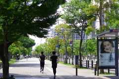 中野四季の森公園