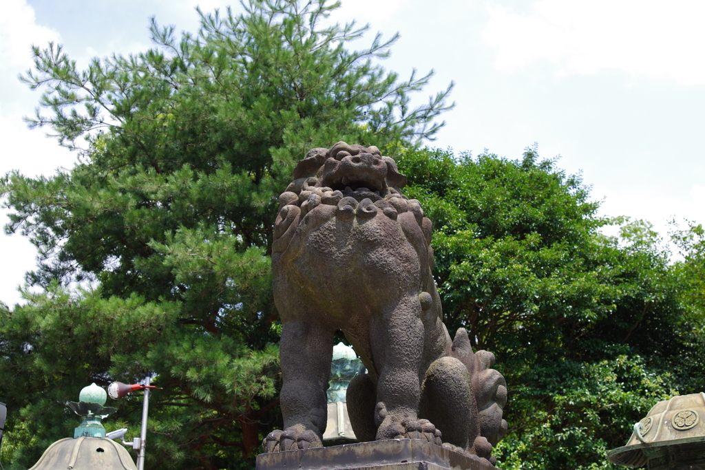 狛犬_上野東照宮