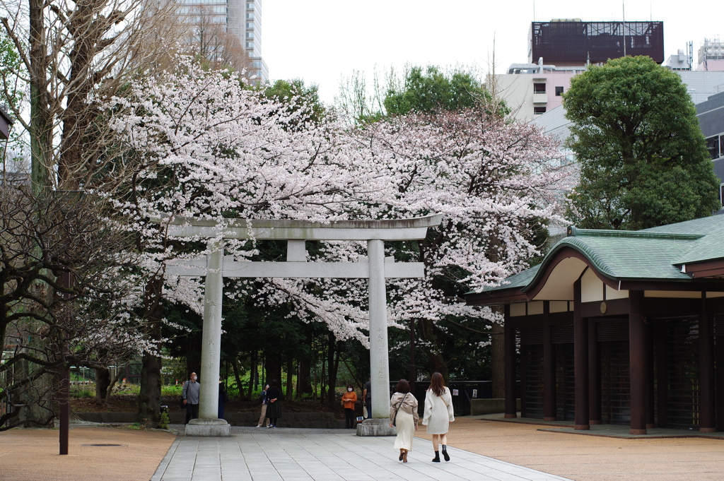 新宿十二社熊野神社