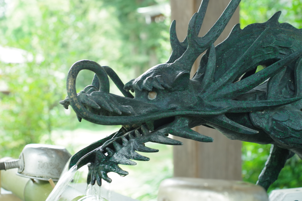 手水舎_龍_鷺宮八幡