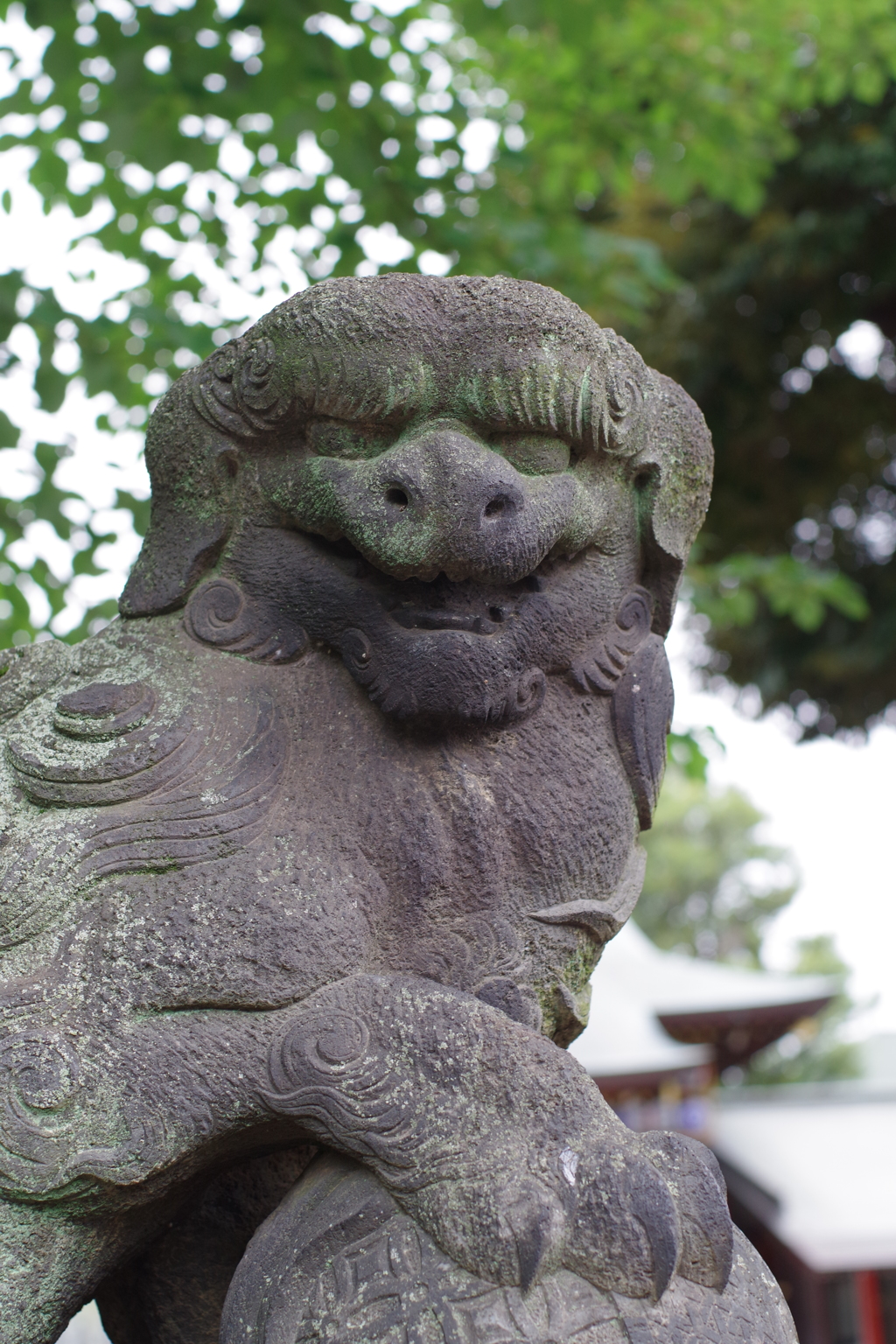 狛犬_沼袋氷川神社