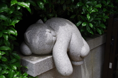眠り猫_荻窪白山神社