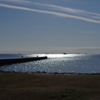 幕張海浜公園