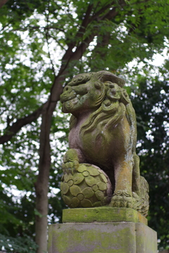 狛犬_成宗白山神社