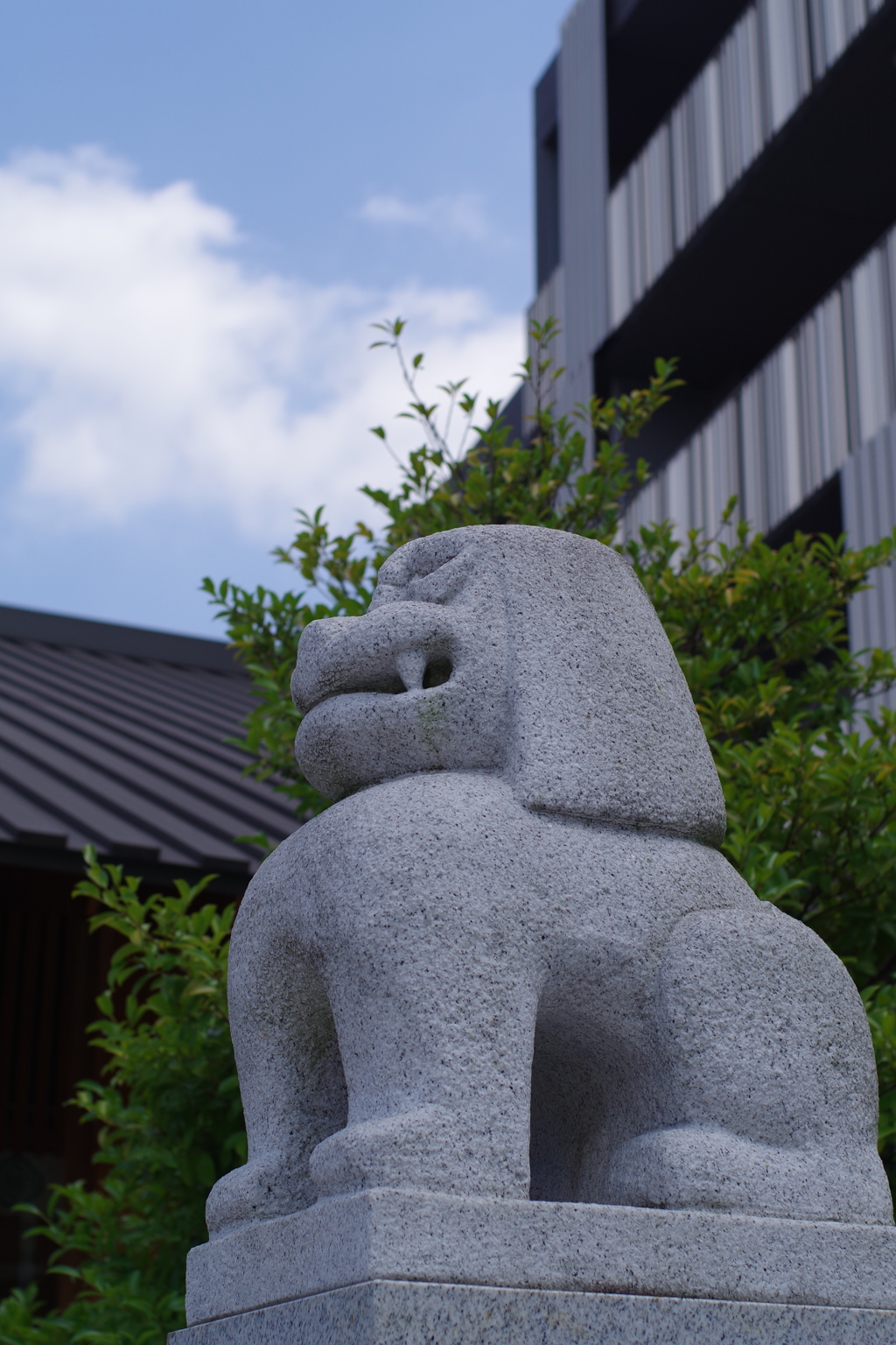 狛犬_赤城神社(神楽坂)